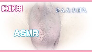 [BGM] Observation Video of Gold Balls [ASMR] Endurance Video