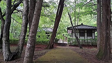 ブラホーケー　10～新緑の遊歩道で包茎チンポをぶらぶらさせて来ました