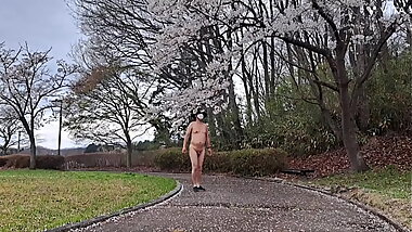 ブラホーケー～桜咲く公園で仮性包茎チンポをぶらぶらさせて来ました